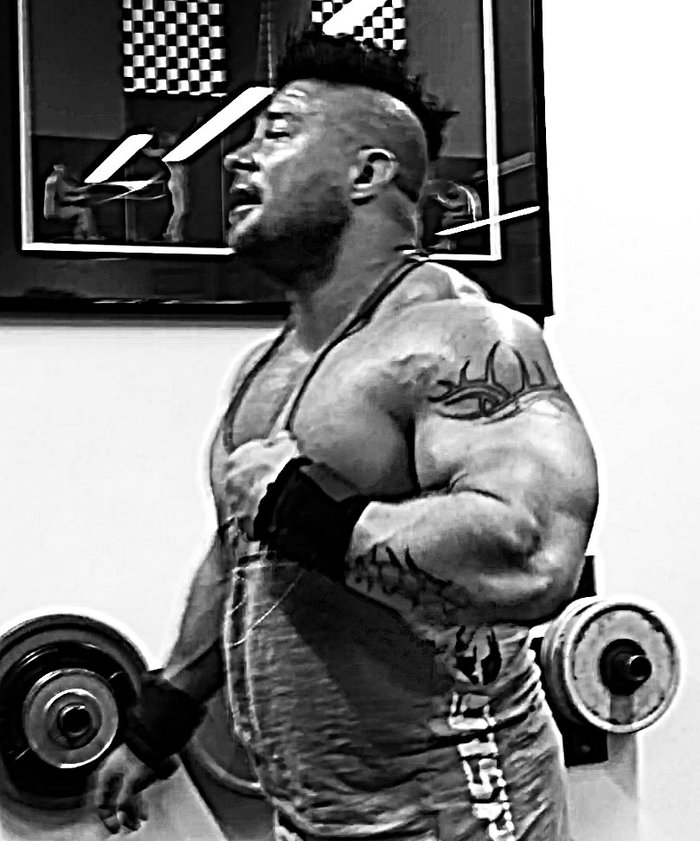 arm12