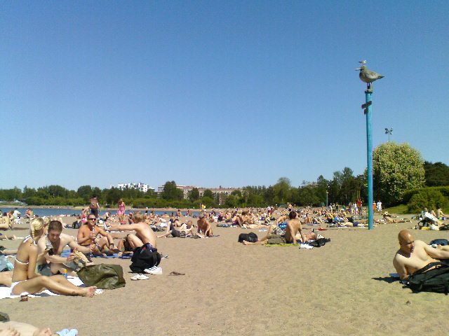 dsc00395.jpg