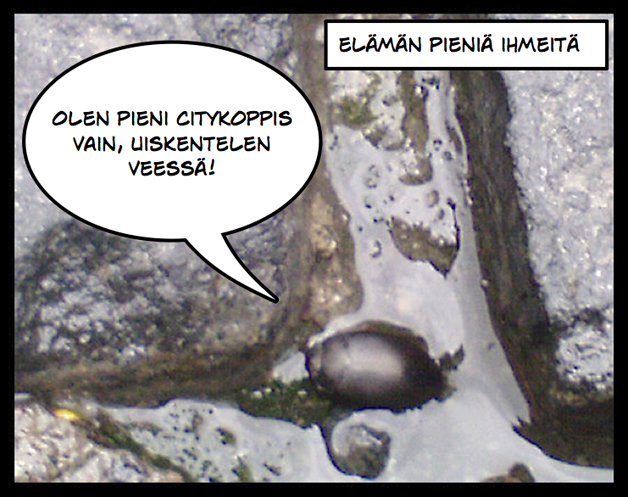 puhe-koppis.jpg