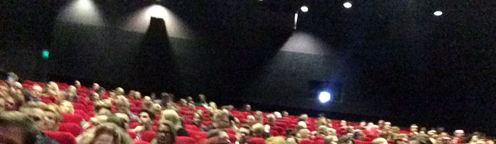 salifinnkino