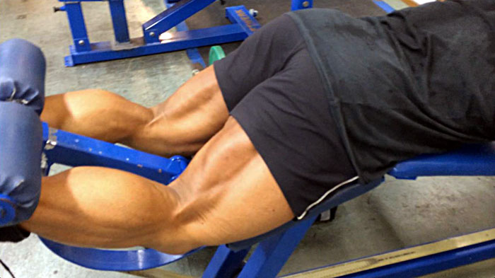 hamstrings2