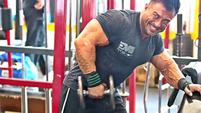 triceps